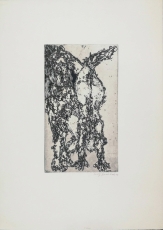 Wolff Buchholz: Artistik, 1960