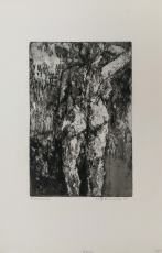 Wolff Buchholz: Nue de dos (nach Relief von Matisse) , 1960