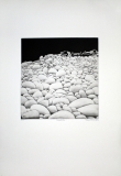 Verena Vernunft: Steinbl�ten, 1973