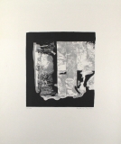 Eberhard Schlotter: Metamorphosen einer Landschaft, 1967