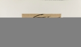 Zush: Dorvo, 1982
