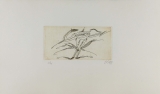 Zush: Dusve, 1982