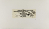 Zush: Donsic, 1982